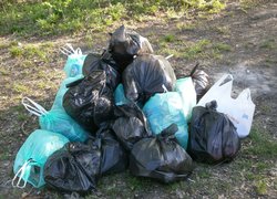 Акція «Чисте довкілля»